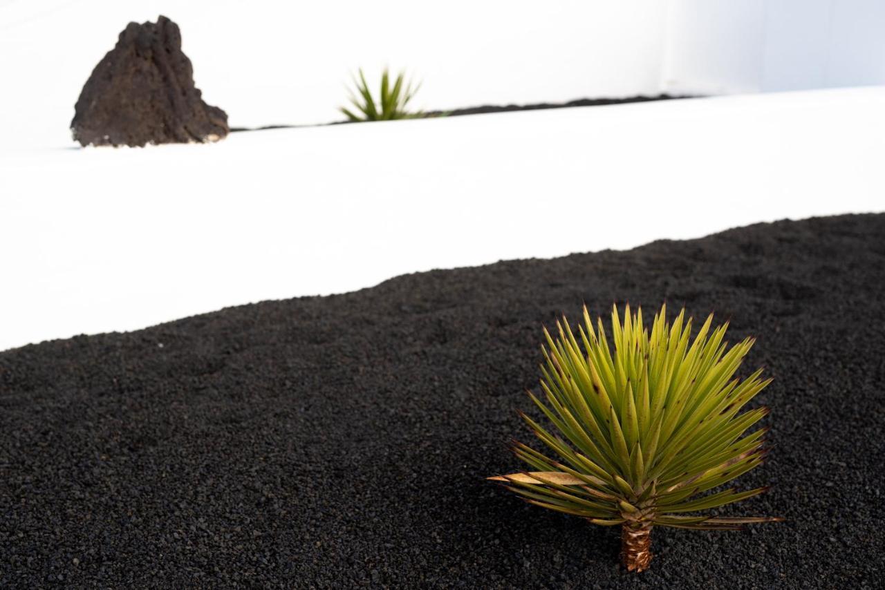 Delmar Natur - Sama ชาร์โก เดล ปาโล ภายนอก รูปภาพ